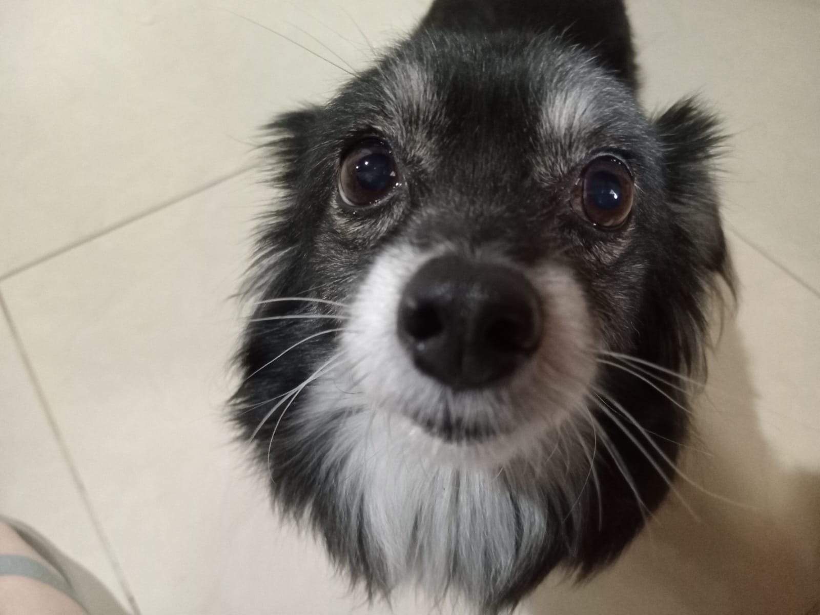 Site hosted by Neocities